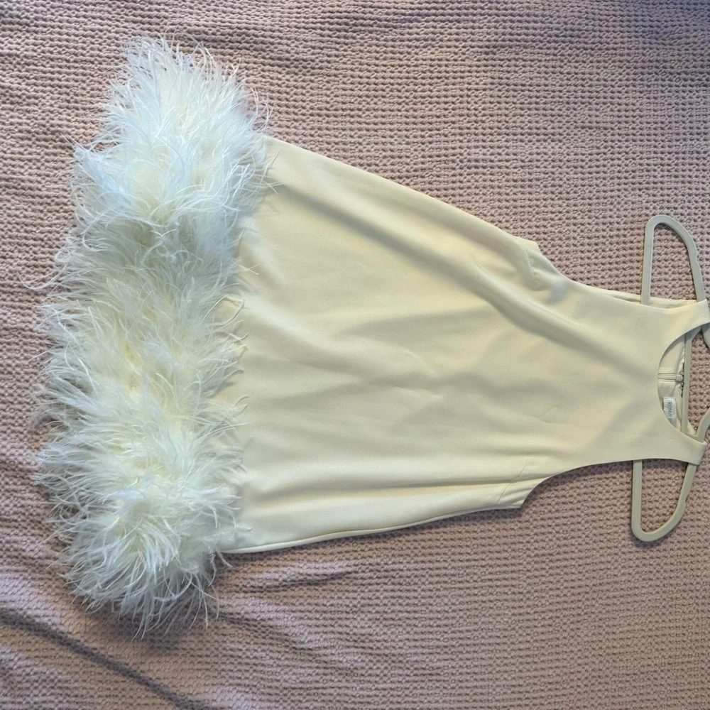 Ronny Kobo Fallen Feathered-Hem Mini Dress – Ivory (XS) - Picture 6 of 12